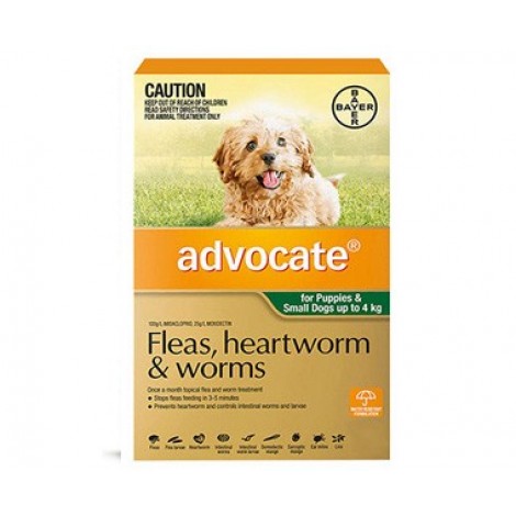 Advocate Small Dogs & Puppies Green