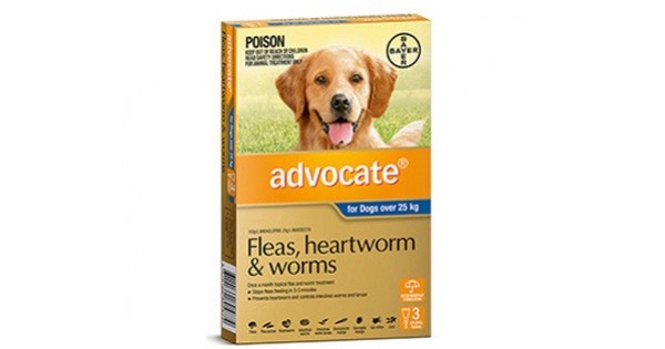 advocate spot on flea and wormer treatment for dogs