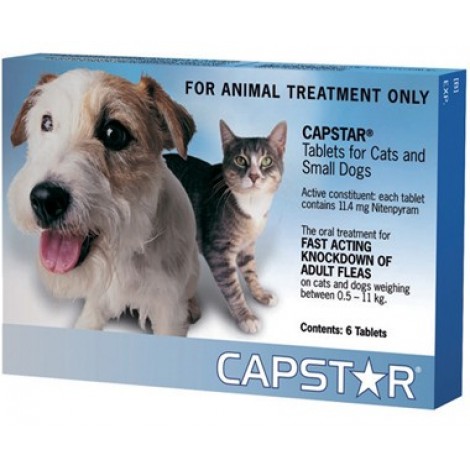 Capstar for Small Dogs and Cats 6 Tablets