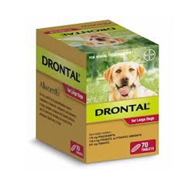 drontal for tapeworms in dogs