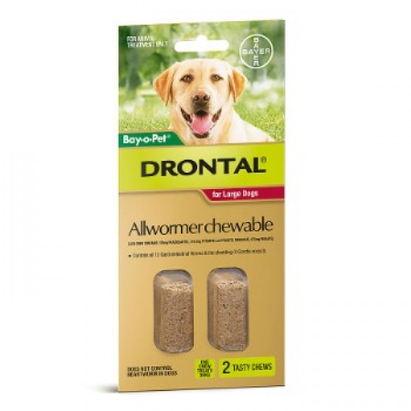 drontal canine