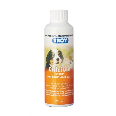 Troy Calcium Syrup 250ml