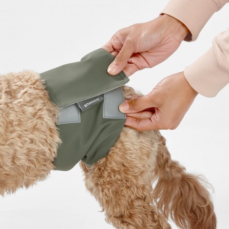 **Washable Dog Nappy - Twin Pack for Male Dogs Small