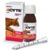 4CYTE Epiitalis Forte Gel for Cats 50mL