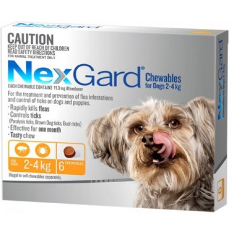 Nexgard Orange Extra Small Dog