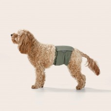 Washable Dog Nappy - Twin Pack for Male Dogs Medium