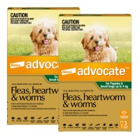 Advocate Small Dogs & Puppies Green
