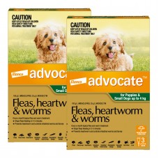 Advocate Small Dogs & Puppies Green