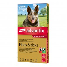 Advantix Large Dog Red