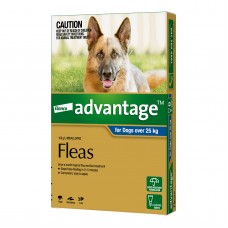 Advantage Extra Large Dog Blue