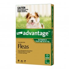 Advantage Small Dogs & Puppies Green