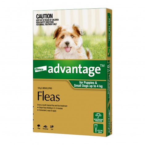 Advantage Small Dogs & Puppies Green