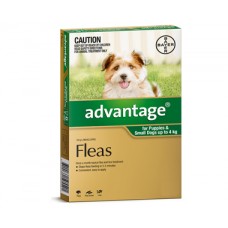 advocate medium dog aqua