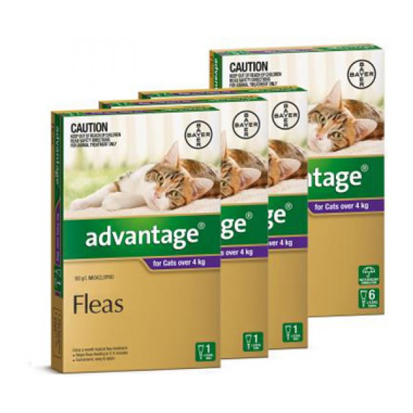 Advantage deals large cat