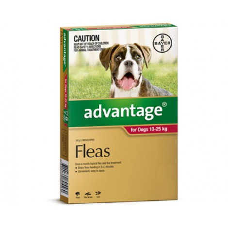 **Advantage Large Dog Red 1 Vial pack