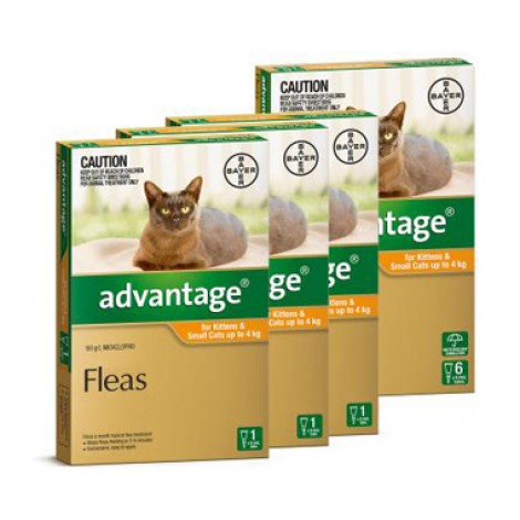 Advantage Small Cats and Kittens