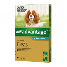Advantage Medium Dog Aqua