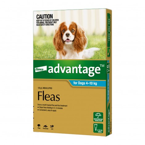 Advantage Medium Dog Aqua