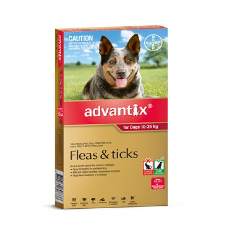 Advantix Large Dog Red