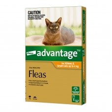 **Advantage Small Cats and Kittens 6 Vial Pack