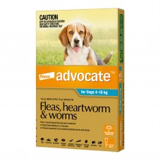 Advocate Medium Dog Aqua