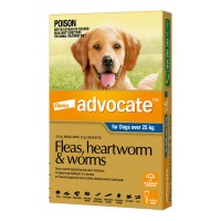 Advocate Extra Large Dog Blue