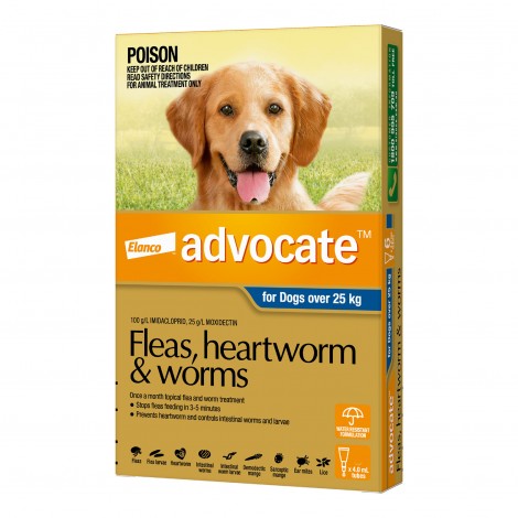 Advocate Extra Large Dog Blue