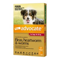 Advocate Large Dog Red