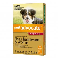 Advocate Large Dog Red