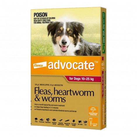 Advocate Large Dog Red