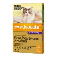 Advocate Large Cat Purple