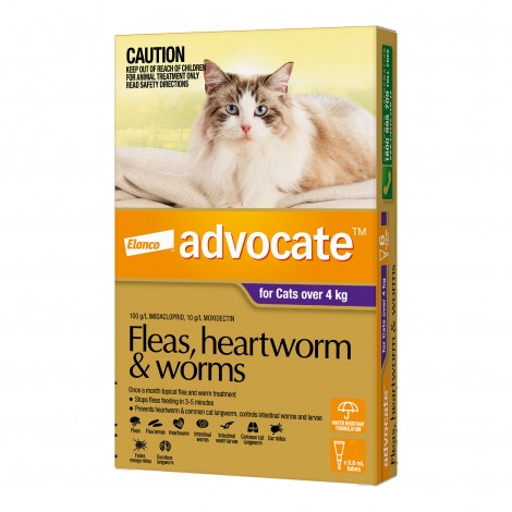 Advocate Large Cat Purple