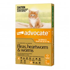 Advocate Small Cats & Kittens