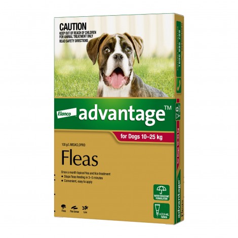Advantage Large Dog Red