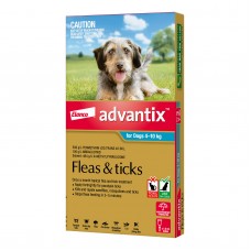 Advantix Medium Dog Aqua