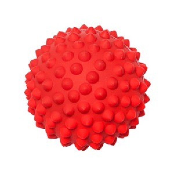 aussie dog ball