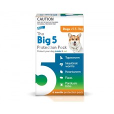The Big 5 For Small Dogs Orange