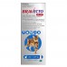 Bravecto Plus Medium Cats Blue