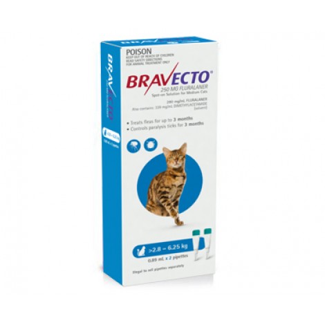 Bravecto Spot On Medium Cats Blue