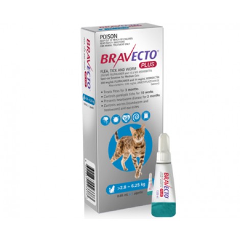 Bravecto Plus Medium Cats Blue