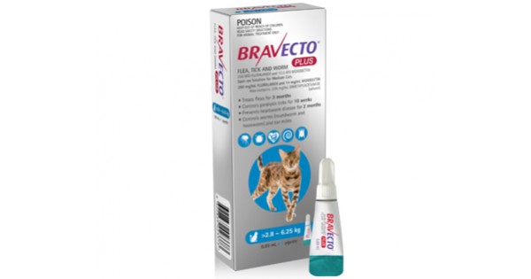 bravecto all in one