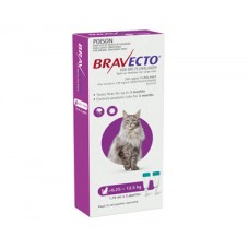 Bravecto Spot On Large Cats Purple