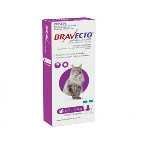 Bravecto Spot On Large Cats Purple