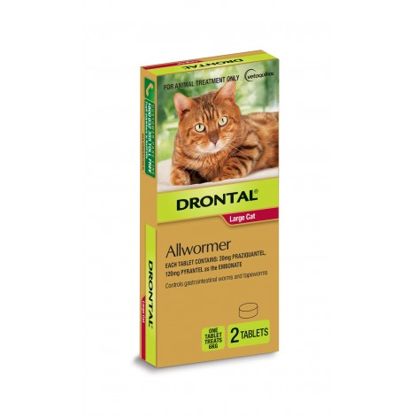 Drontal Cat  6kg (13.2lb) 