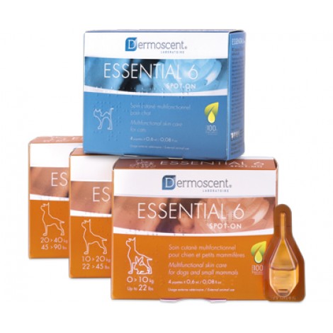 Essential 6 for Dogs and Cats 4 Vials