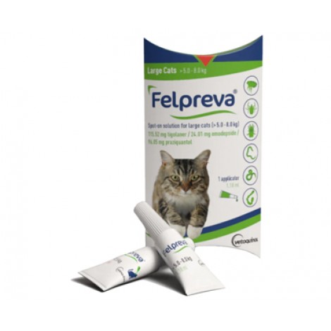 Felpreva for Large Cats 5-8kg (11-17.6lbs) 2 Pack