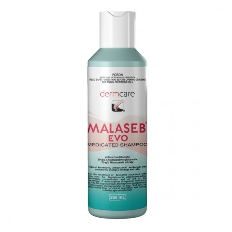NEW Malaseb Evo Medicated Shampoo 250mL (8.5 floz) NEW Malaseb Evo Medicated Shampoo 250mL (8.5 floz)