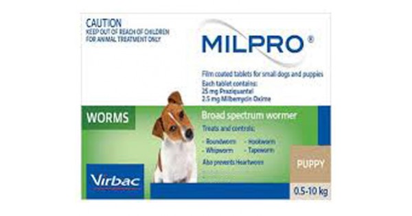 milpro puppy