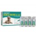 Neovela For Dogs 20.1-40kg (44-88lbs) Teal