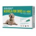 Neovela For Dogs 20.1-40kg (44-88lbs) Teal